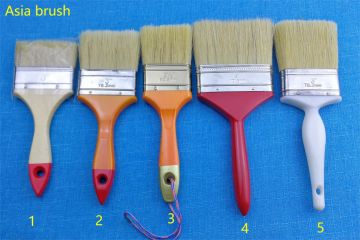 Asia brush