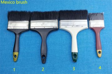 Mexico brush